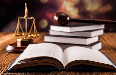 法律主體元素高清解析